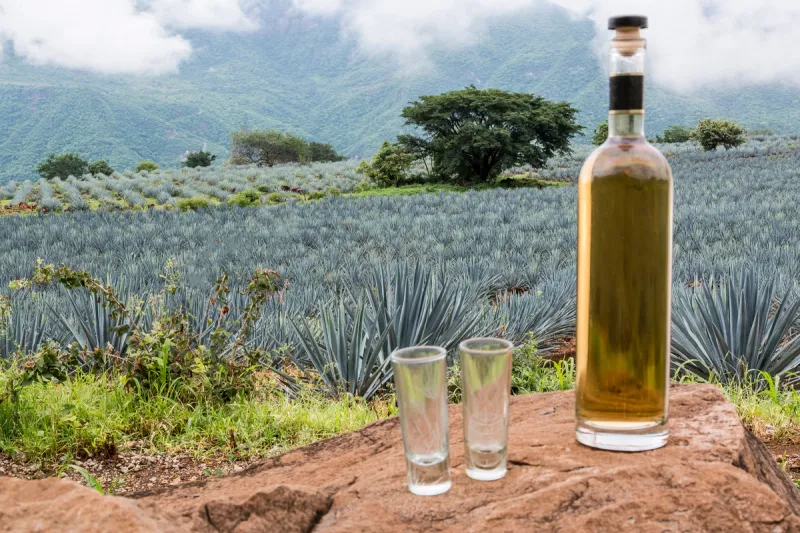 tequila-exportaciones