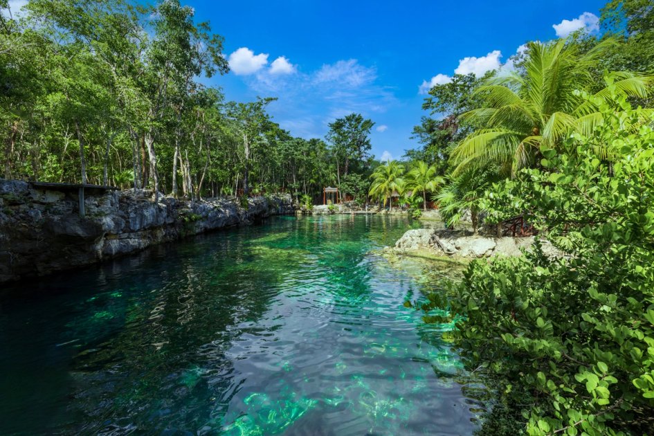 Naturaleza y el tren maya